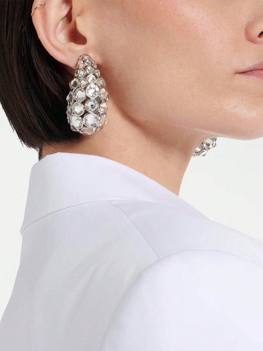 Fancy Woman Sparkle Earrings